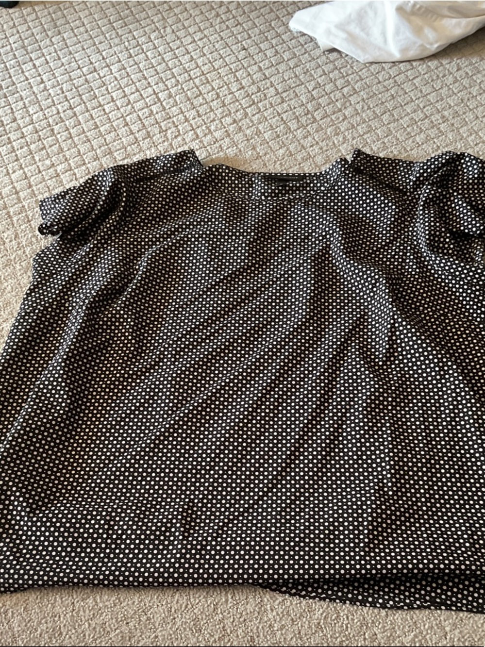 Lane Bryant Black Short Sleeve Polka Dot Top
